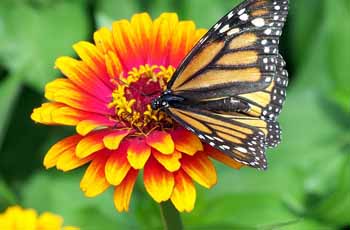 绿色无害健康的服务器攻击软件