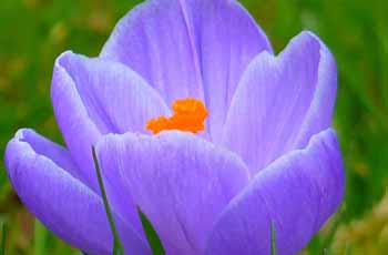 帮忙找免费ddos攻击网页端