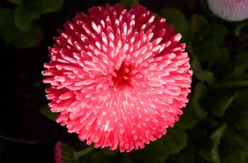 引领效率革命的服务器攻击软件