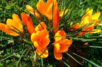 不用设置直用的服务器攻击软件