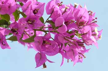 实实在在好用的DDOS攻击平台