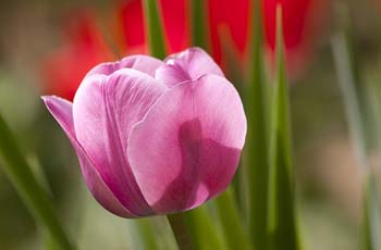 ddos网页在线攻击