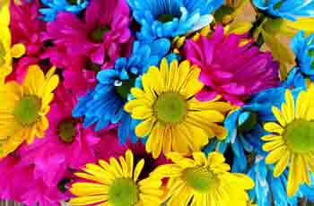 免费ddos压力测试平台