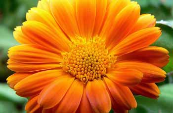 DDOS压力测试网页端